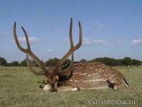 /album/fenykepgaleria/images-6-jpg1/